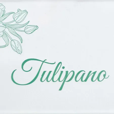 Magnolia 3* טראסיני